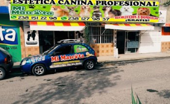 Estetica Profesional Mi Mascota
