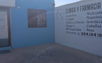 Clínica Veterinaria El Rodeo