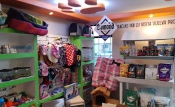 Mascotilandia R.A. Hospital , Medicina Preventiva y Peluquería