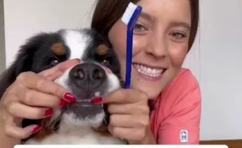 Clínica Veterinaria Escobar.