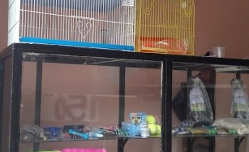 Estetica Canina Y Accesorios Baldo