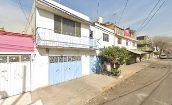 Veterinaria Elpiojo y la pulga