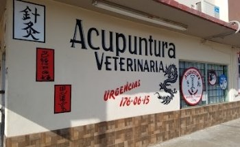ACUPUNTURA VETERINARIA CHINA