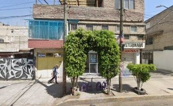 Estética canina y veterinaria