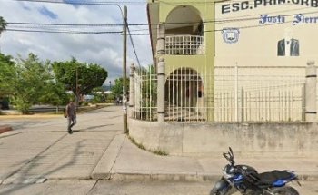 Alimentos Balanceados 