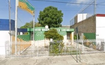 Veterinaria & Estetica Canina Dog Lover's