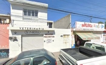 Veterinaria P-ROSS