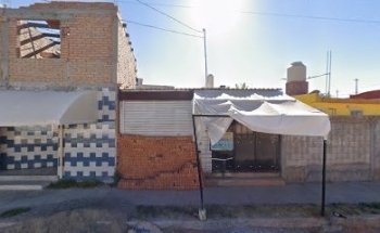 Animal Center Consultorio Veterinario