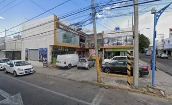 Clínica del Comportamiento y Bienestar Animal