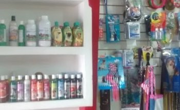 Veterinario save the animals