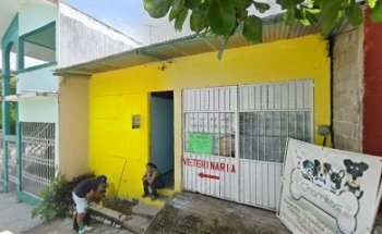 Chamitos vererinaria