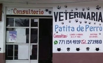 veterinaria patita de perro