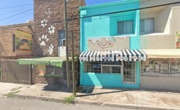 Consultorio Veterinario