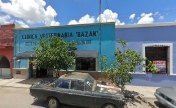 Bazan Valle Justo Manuel