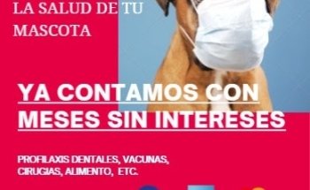 CONSULTORIO VETERINARIO