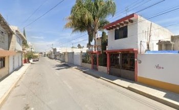 Medico veterinario Zootecnista