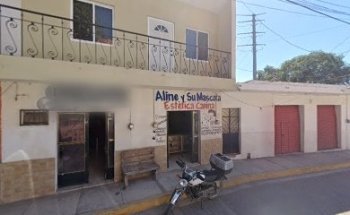 estética canina Aline y su mascota