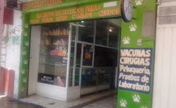 Veterinaria el lobo blanco