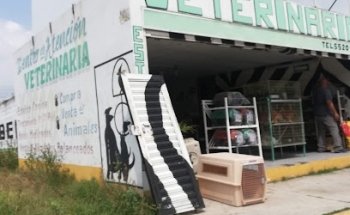 Veterinario Felinocanino