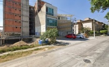 Little pets grooming gdl