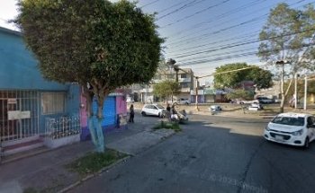 Servicios Veterinarios Integrales