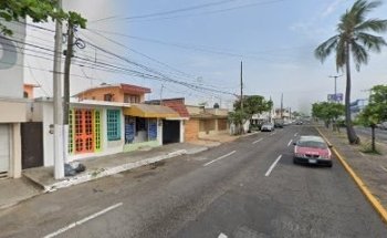 Dogs and cats estética canina