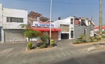 Estetica Canina La Pulga