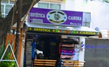 Estetica Canina Barber Dog
