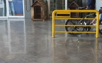 Mascotas y Más Lourdes