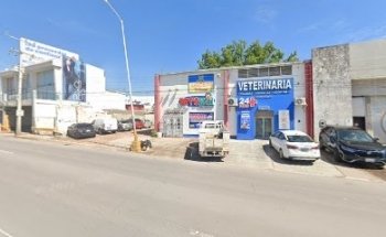 Hospital Veterinario 24 Horas