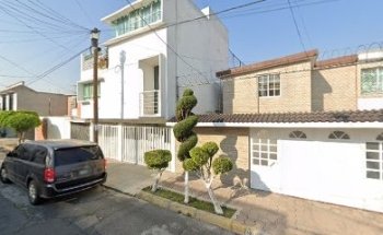 Veterinaria The Cat's