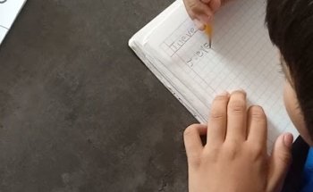 VETERINARIA ANIMAL CARE TORRES