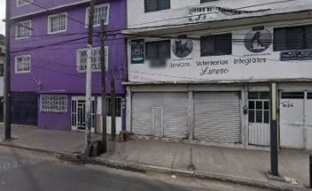 Servicios Veterinarios Integrales 