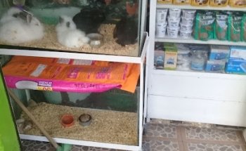 Veterinaria Mundo Animal