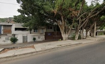 Veterinaria Amigozoo