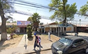 Clínica veterinaria y Estética 