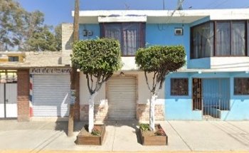 Estética Canina Mascotas Balu