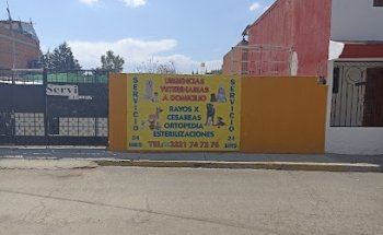 Servicio veterinario