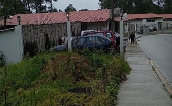 CENTRO DE BIENESTAR ANIMAL