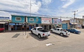 Veterinaria el castillo