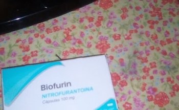 Estetica Canina Scrappy Doo