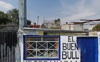 consultori veterinario “EL BUEN BULL”
