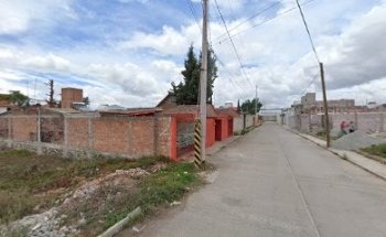 Clínica Veterinaria en Tulancingo