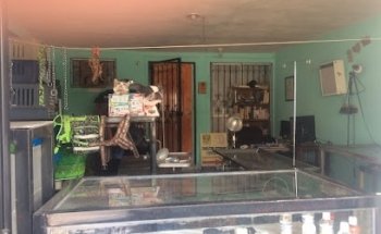 Consultorio Vererinario y estética canina Dr Ogazon