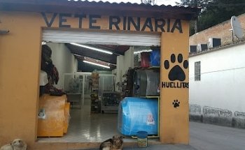 Veterinaria Huellitas