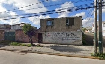 Tlacaelel veterinaria