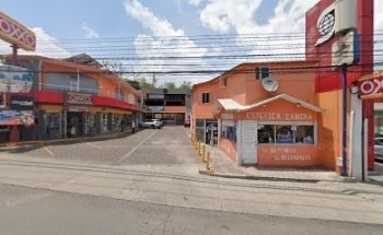 M.V.Z. Eduardo Roque Miñon