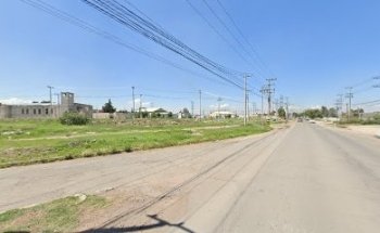 Centro de Sacrificio Animal Municipal