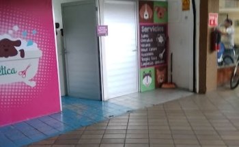 Pet shop & vet putipitotptio