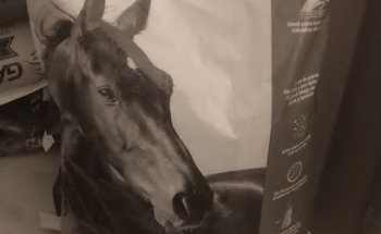 Alimento Galope y 300varas